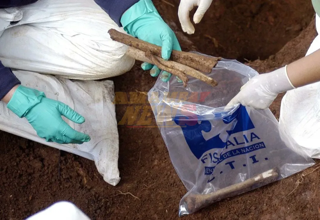Hallan en fosa común ocho cuerpos de líderes sociales y religiosos asesinados en Colombia