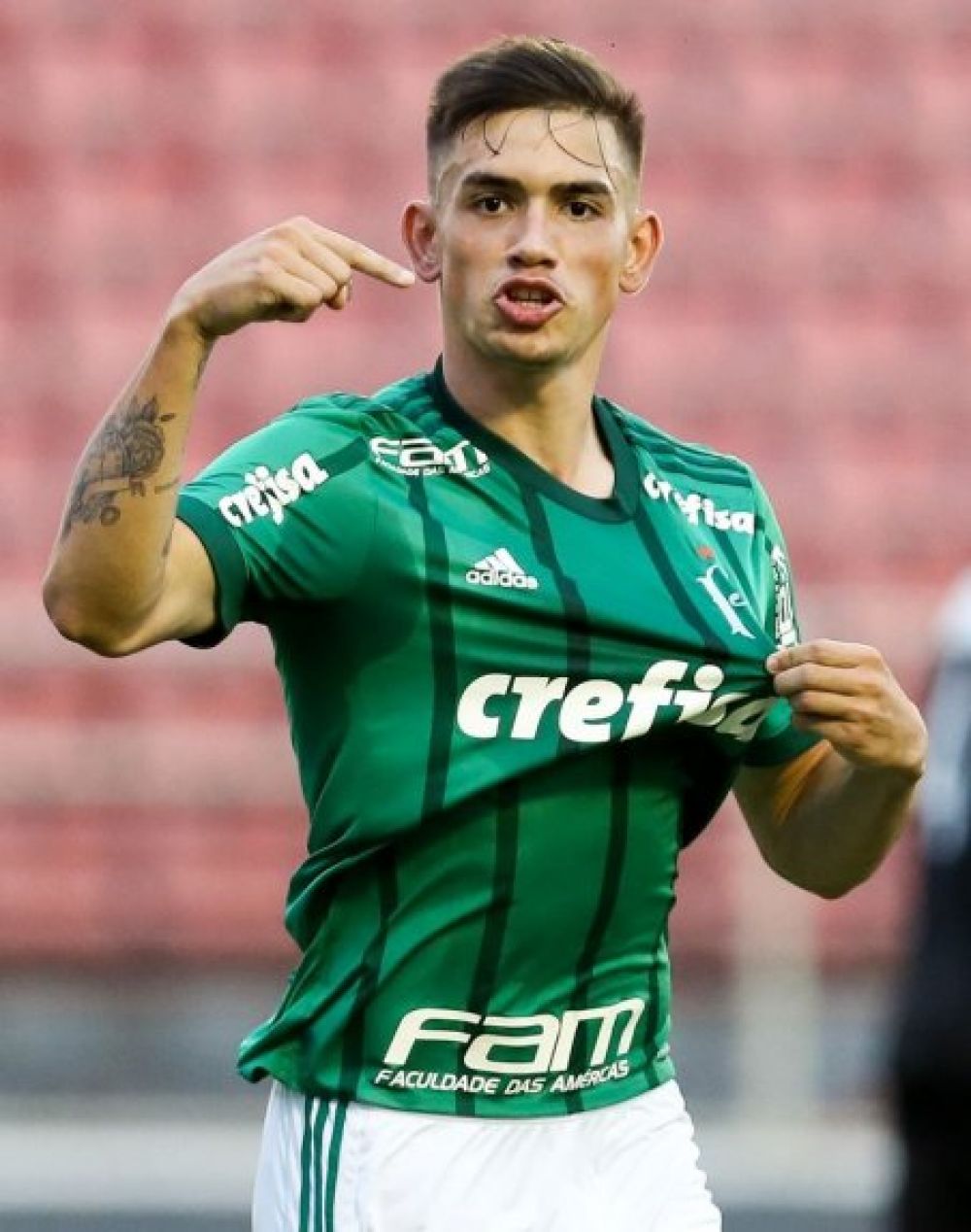 El pedrojuanino Anibal Vega campeón con el Palmeiras