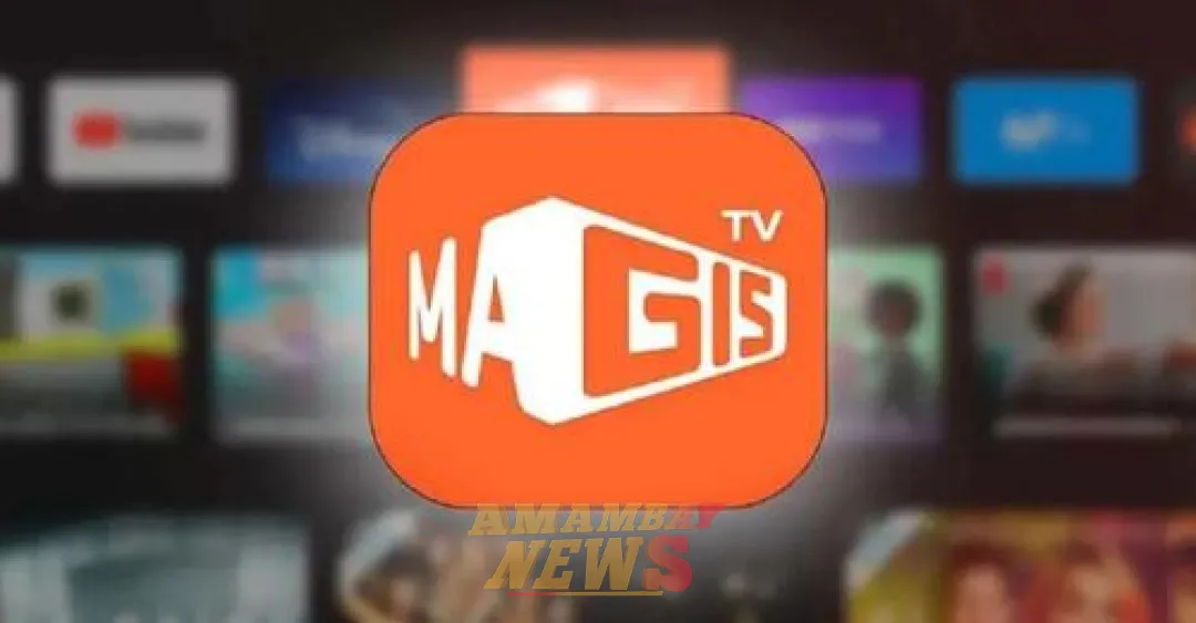 Justicia argentina ordena a Google que inhabilite la plataforma de piratería Magis TV