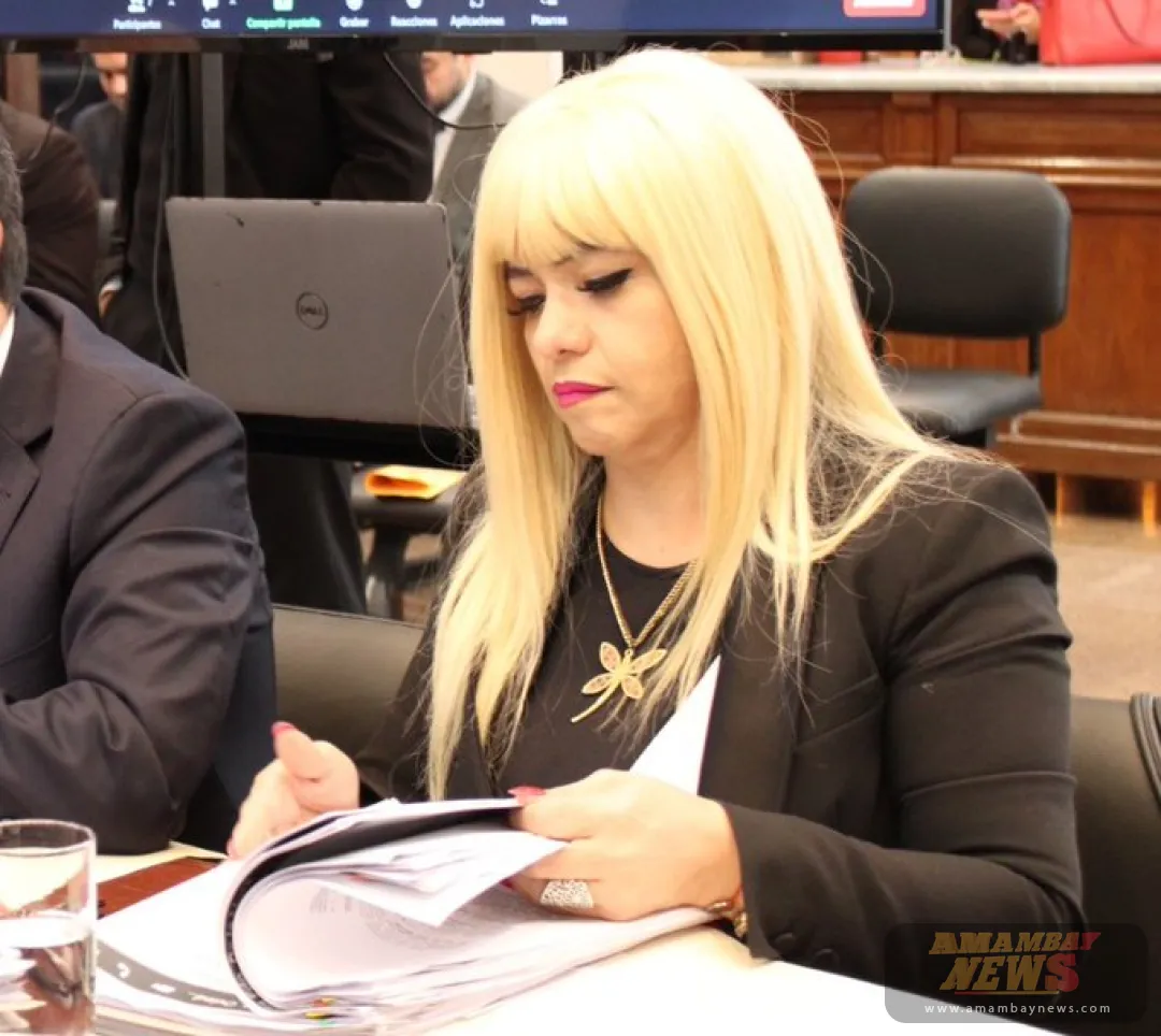 Imputan a Casse Giménez y al defensor público Fermín Bogado