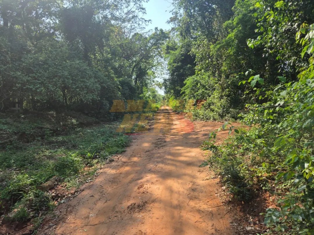 Paraguay celebra el Día del Camino destacando su papel clave en el desarrollo nacional
