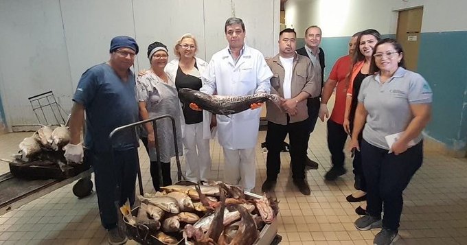 Mades dondó pescados decomisados a hospitales de Itauguá y el Instituto del Cáncer