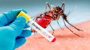 Alerta roja en Central por casos de dengue