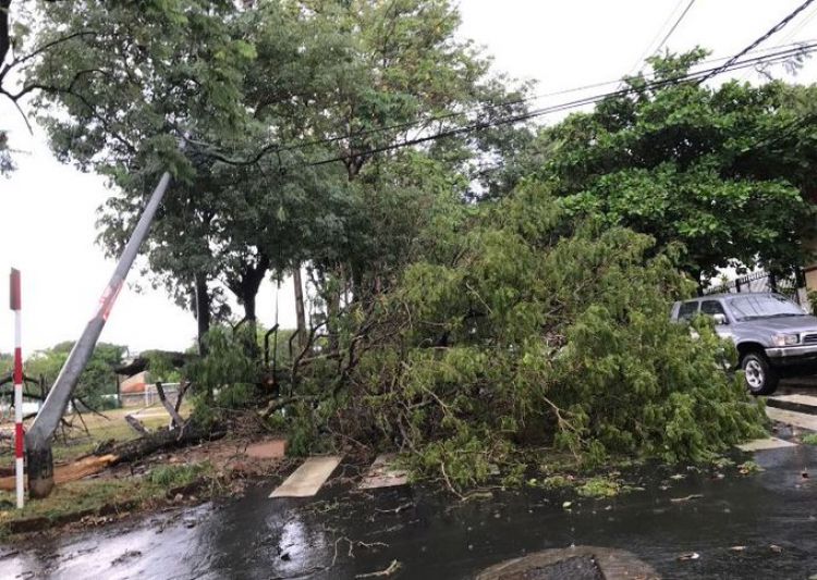 300 mil usuarios de ANDE quedaron sin electricidad tras madrugada de tormentas