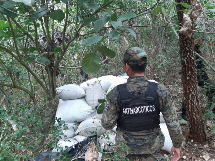 Antinarcóticos intervino un obraje de marihuana en Lorito Picada - Amambay