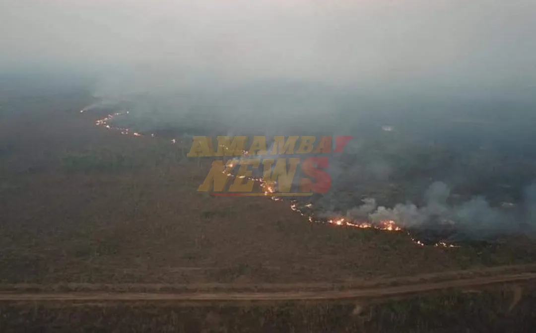 El área quemada por los incendios forestales en Brasil se disparó un 79 % en 2024