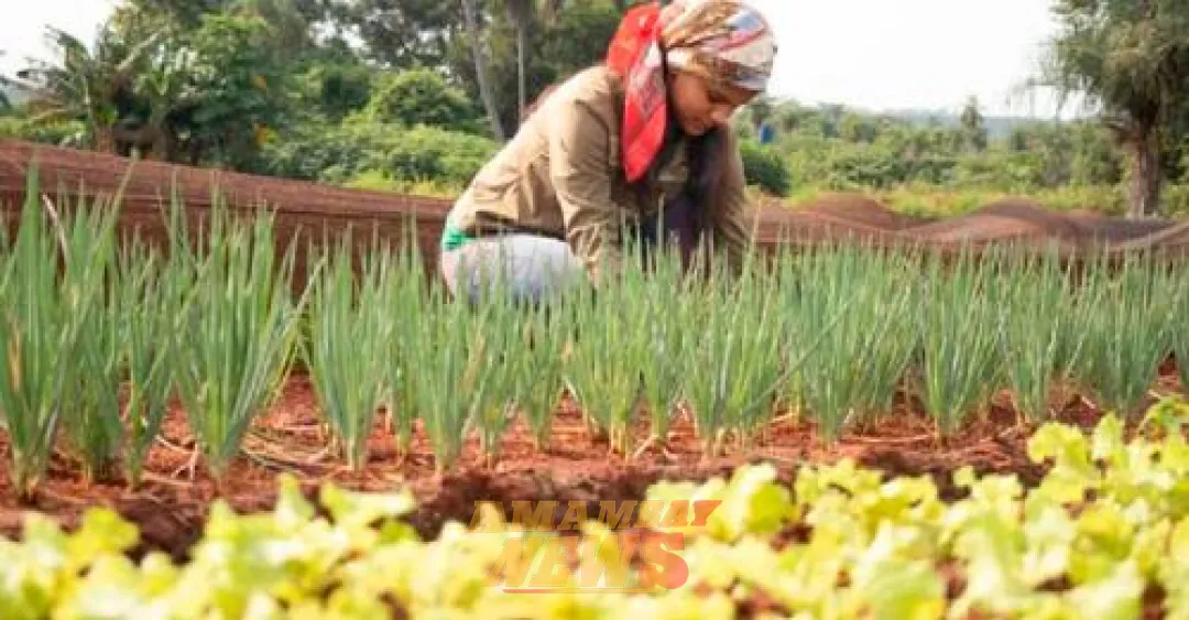 Paraguay conmemora el Día Internacional de las Mujeres Rurales