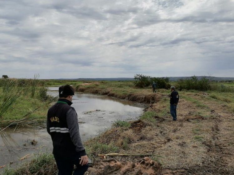 Mades constata canalización que afecta a humedales del Lago Ypacaraí