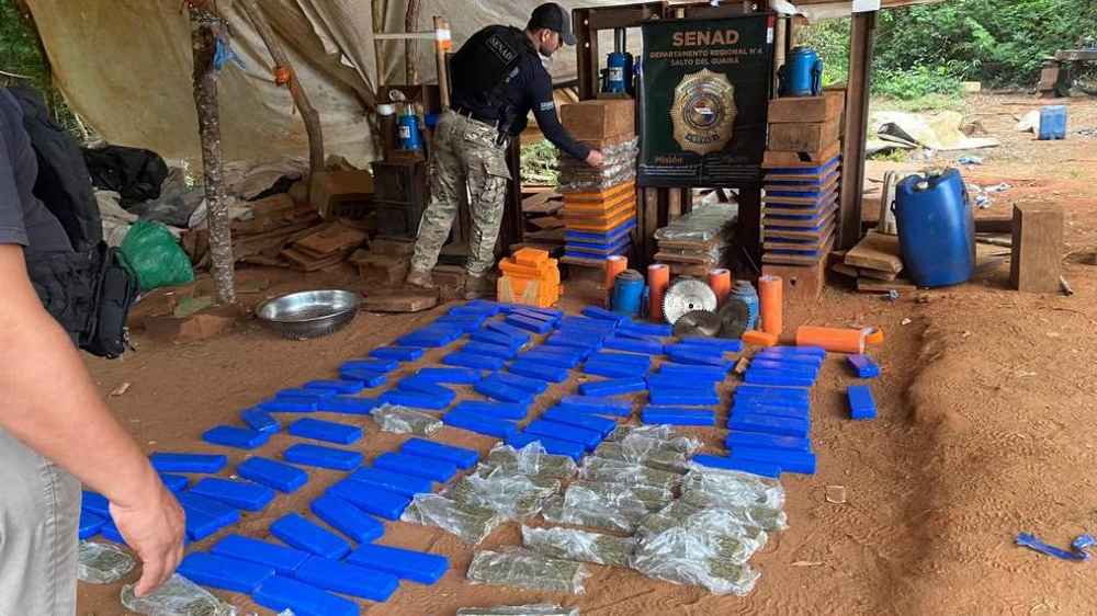Destruyen seis mil kilos de marihuana en campamento de producción