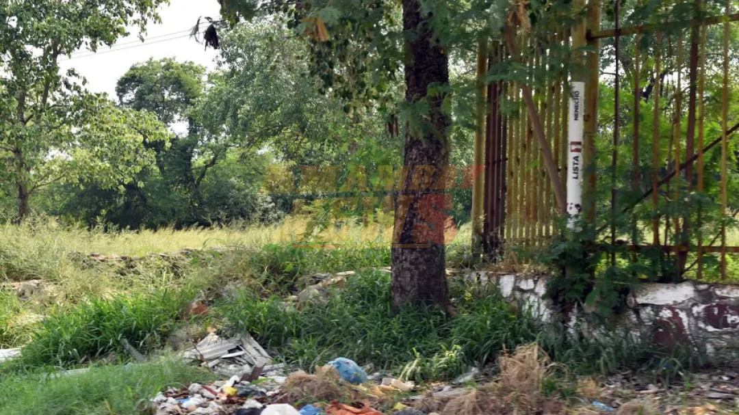 Policías hallan feto en el tacuaral del Jardín Botánico