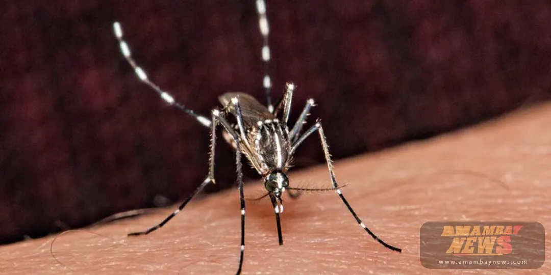 Dengue: finaliza periodo epidémico con más de 101.600 casos acumulados