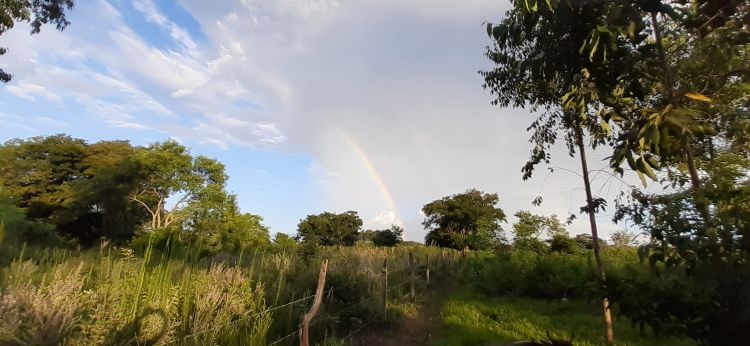 Viernes caluroso con chaparrones en el norte y chaco