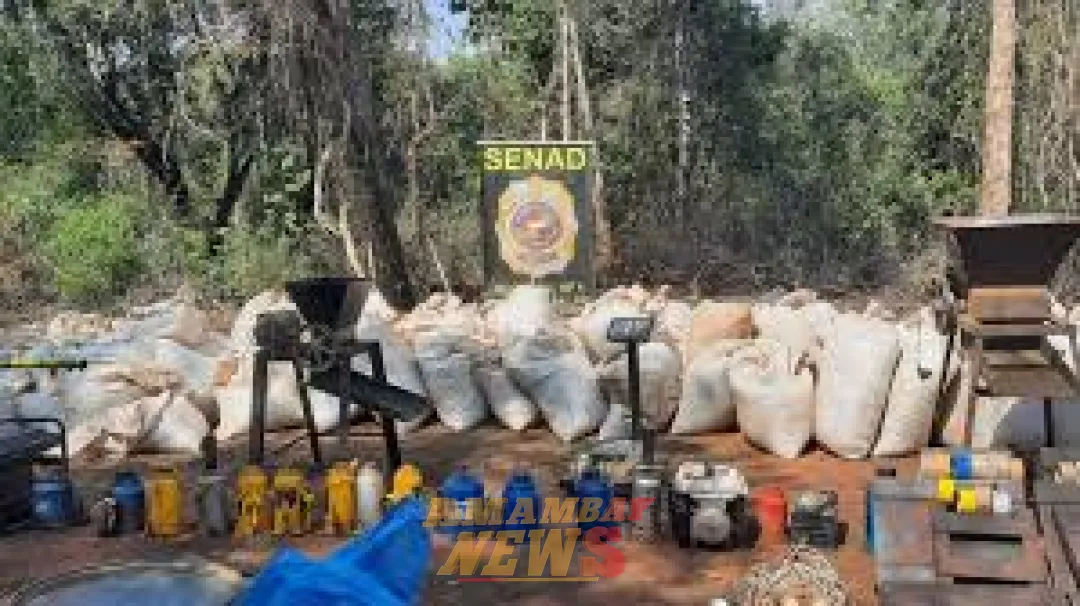 Senad destruye 6.000 kilos de marihuana en Capitán Bado