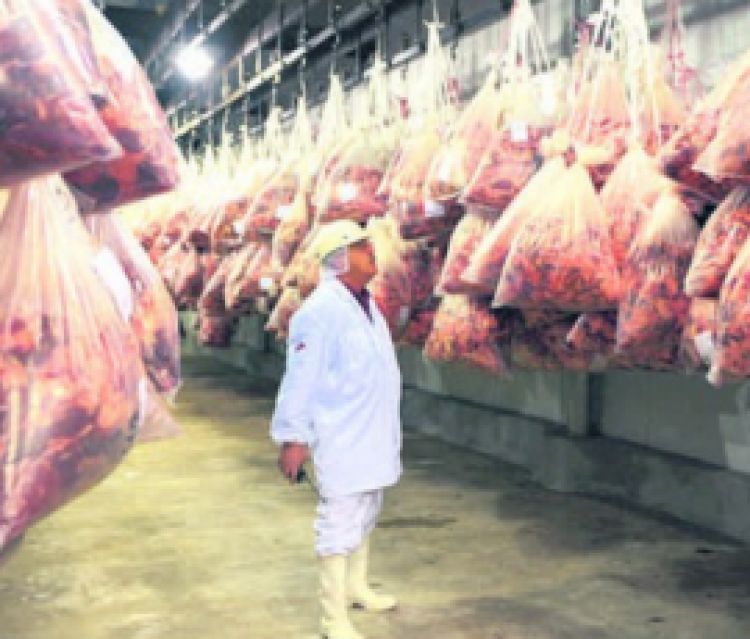 Mercado internacional paga casi 30% más por menudencia bovina