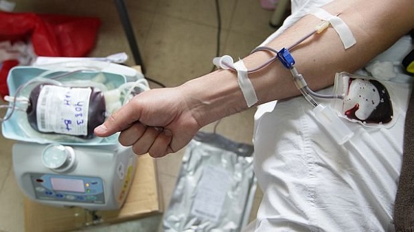 Recuerdan que “el mejor regalo de navidad es donar sangre”