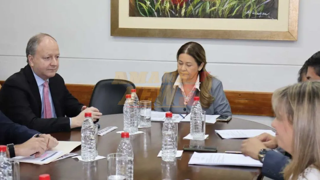 Ministro de Economía afirma que Gobierno no pretende privatizar la ANDE