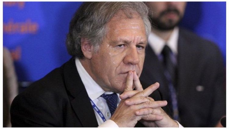 Almagro pide aumentar más apoyo internacional a Venezuela