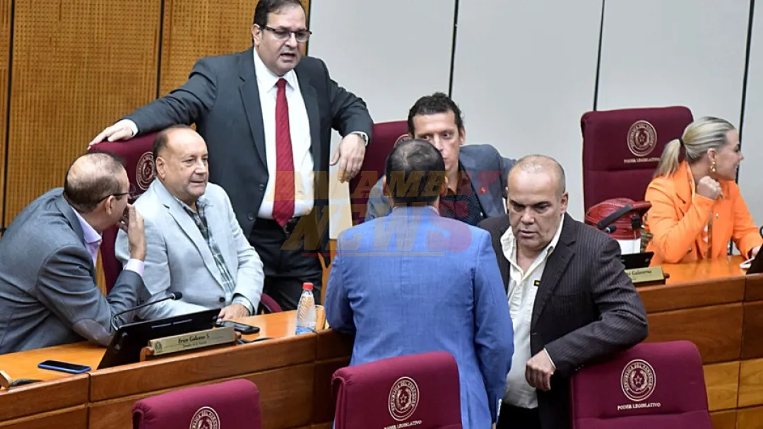 Fracasa conformación de bicameral del Parlamento sobre el Anexo C