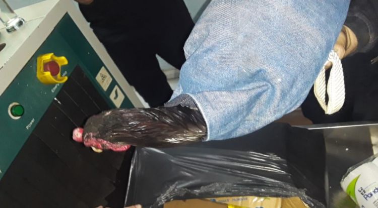Hombre intentó ingresar un gallo de riña al penal de Tacumbú
