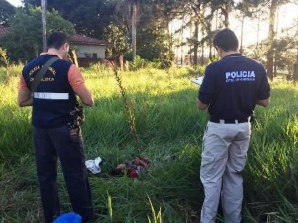 Fin de semana dejó 17 fallecidos