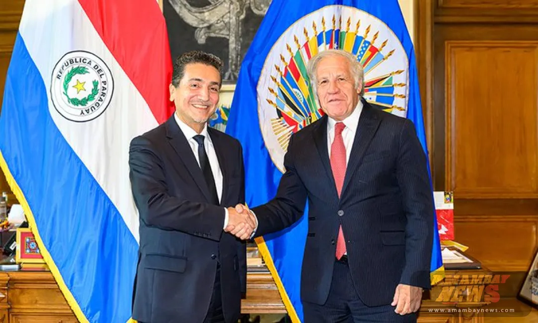 Paraguay sostiene ante la OEA que se debe hacer recuentos de actas en Venezuela