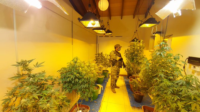Juicio a acusados por el caso Marihuana VIP es fijado para abril