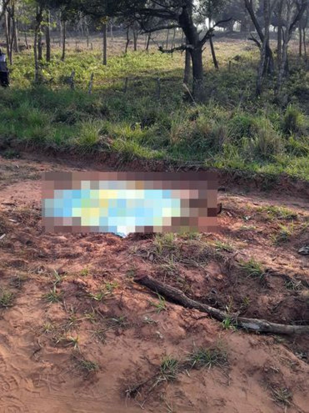Hallan muerta a una mujer en un presunto caso de feminicidio