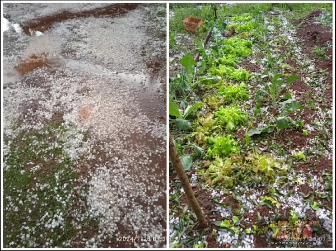 Fuerte temporal azota Itapúa: granizos, rayos y daños materiales