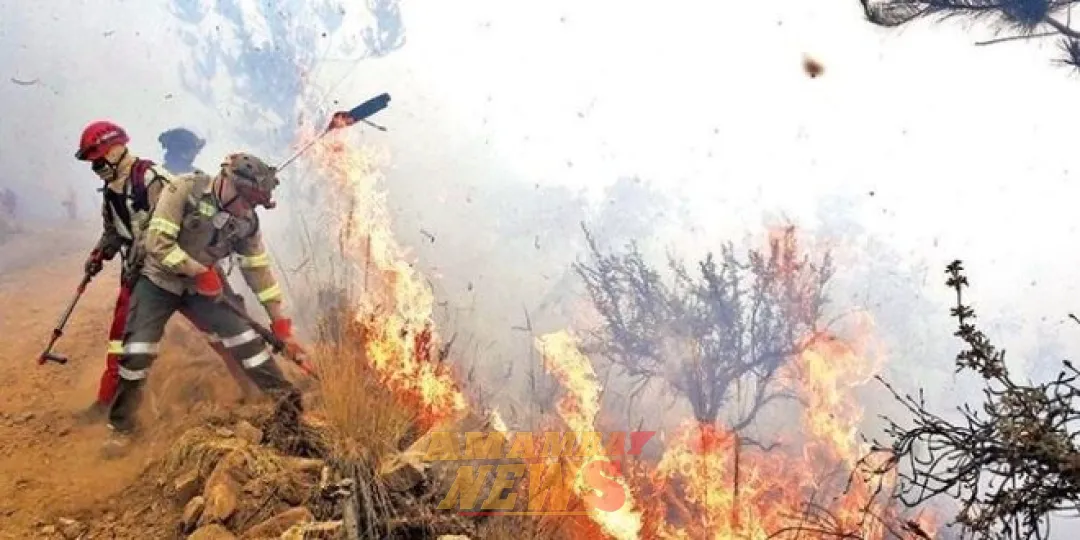 Bolivia en emergencia nacional por los incendios forestales