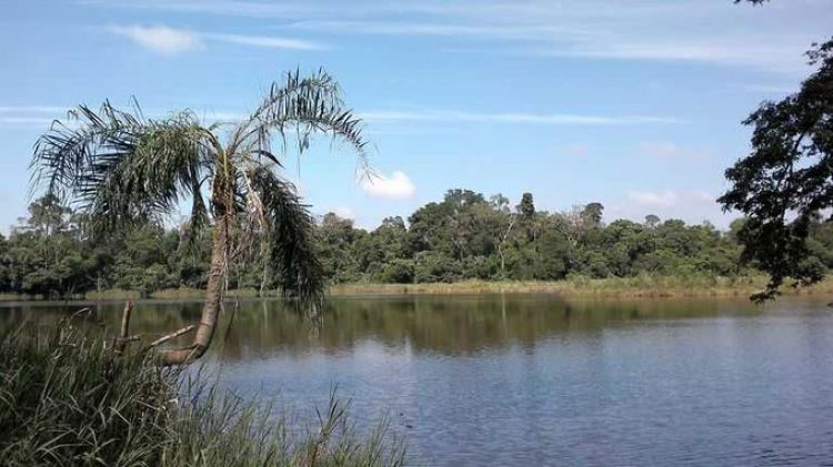 Diputados frenan expropiación de 5 hectáreas del lago Yrendy