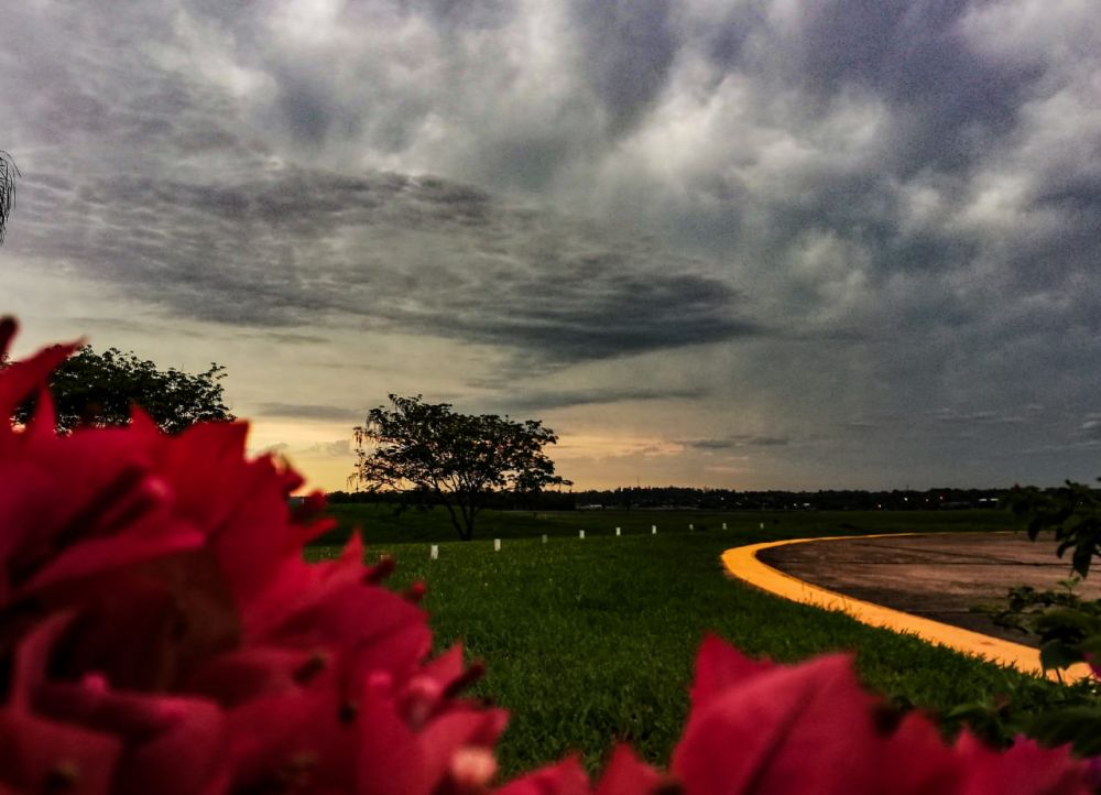 Prevén un domingo caluroso y con lluvias dispersas