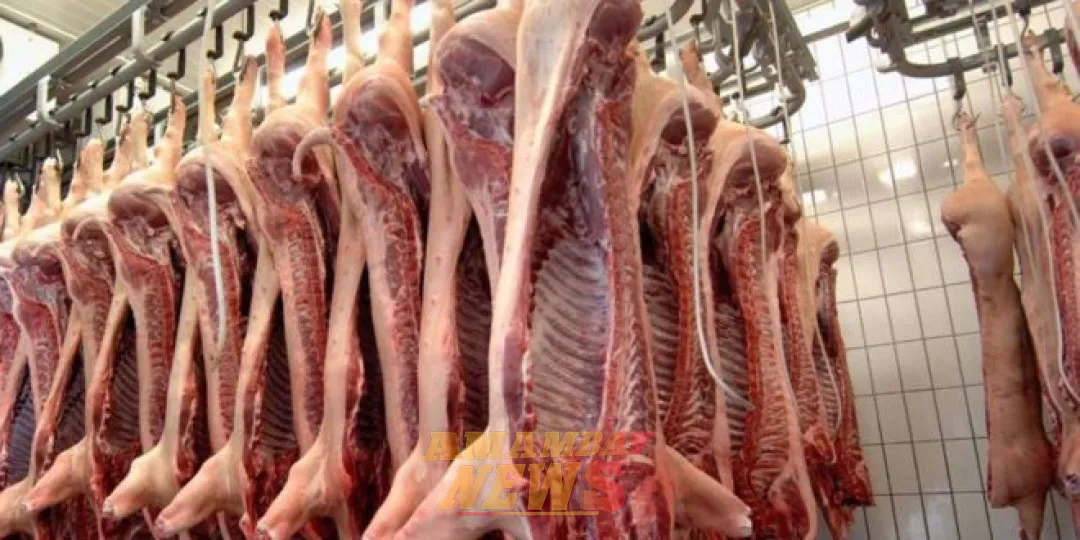 Excelente momento para la exportación de carne porcina