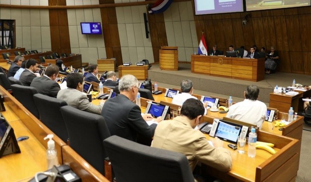 Senado trata hoy "ande Energa" en sesin ordinaria