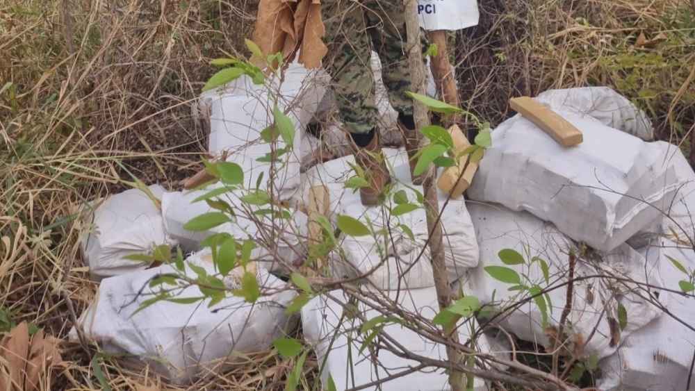 Agentes antinarcóticos hallaron 1000 kilos de marihuana