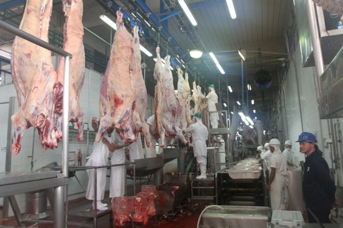 Exportaciones de carne y otros productos de origen animal alcanzaron sus mejores cifras en 2022