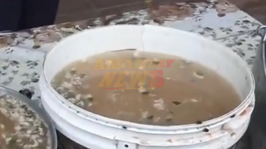 Desestiman denuncia contra Comepar por supuesto kure caldo en mal estado