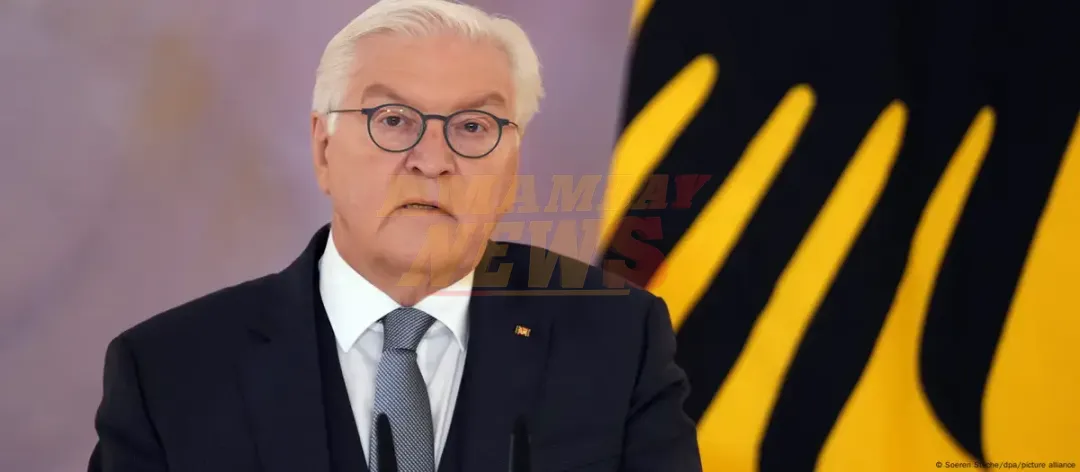 Steinmeier disuelve el Parlamento y confirma elecciones