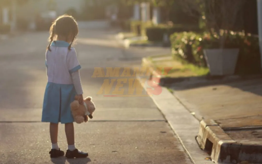 En lo que va del 2024 se han realizado más de 350 denuncias de desaparición de niños