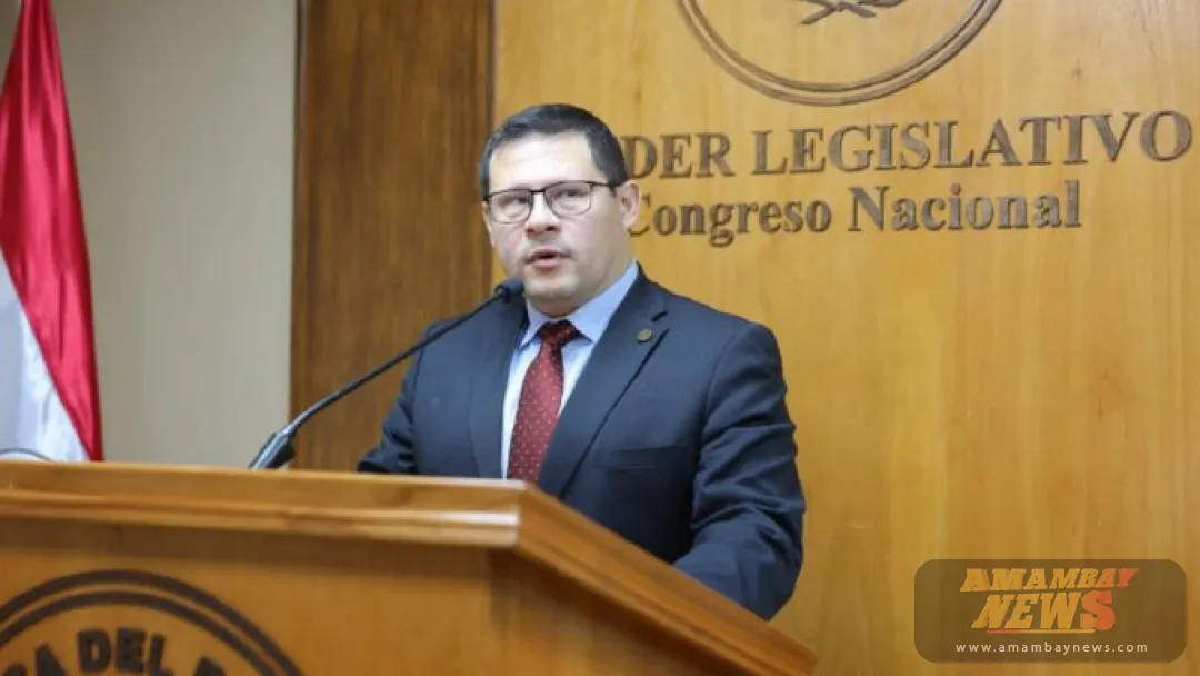 Fiscalizarán a las empresas deudoras de Mario Abdo
