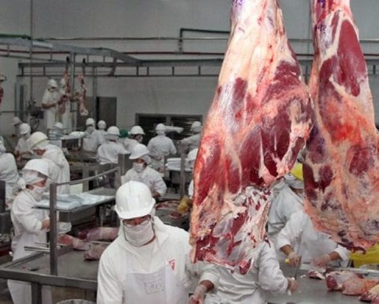 Trabajadores de frigorífico denuncian que empresa no abona salarios