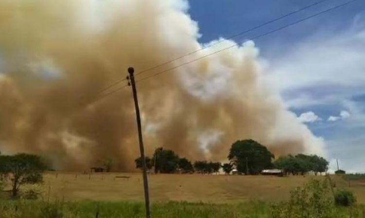 Un incendio de gran magnitud arrasó con cultivo de soja en Iruña