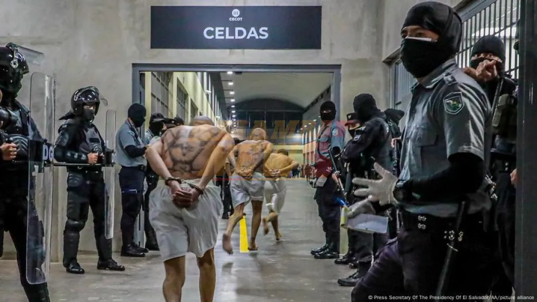 Casi 240 miembros del Tren de Aragua llegan a El Salvador