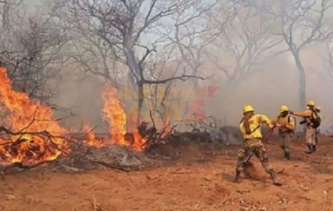 Llaman a la conciencia tras nuevo incendio sofocado en el Bajo Chaco