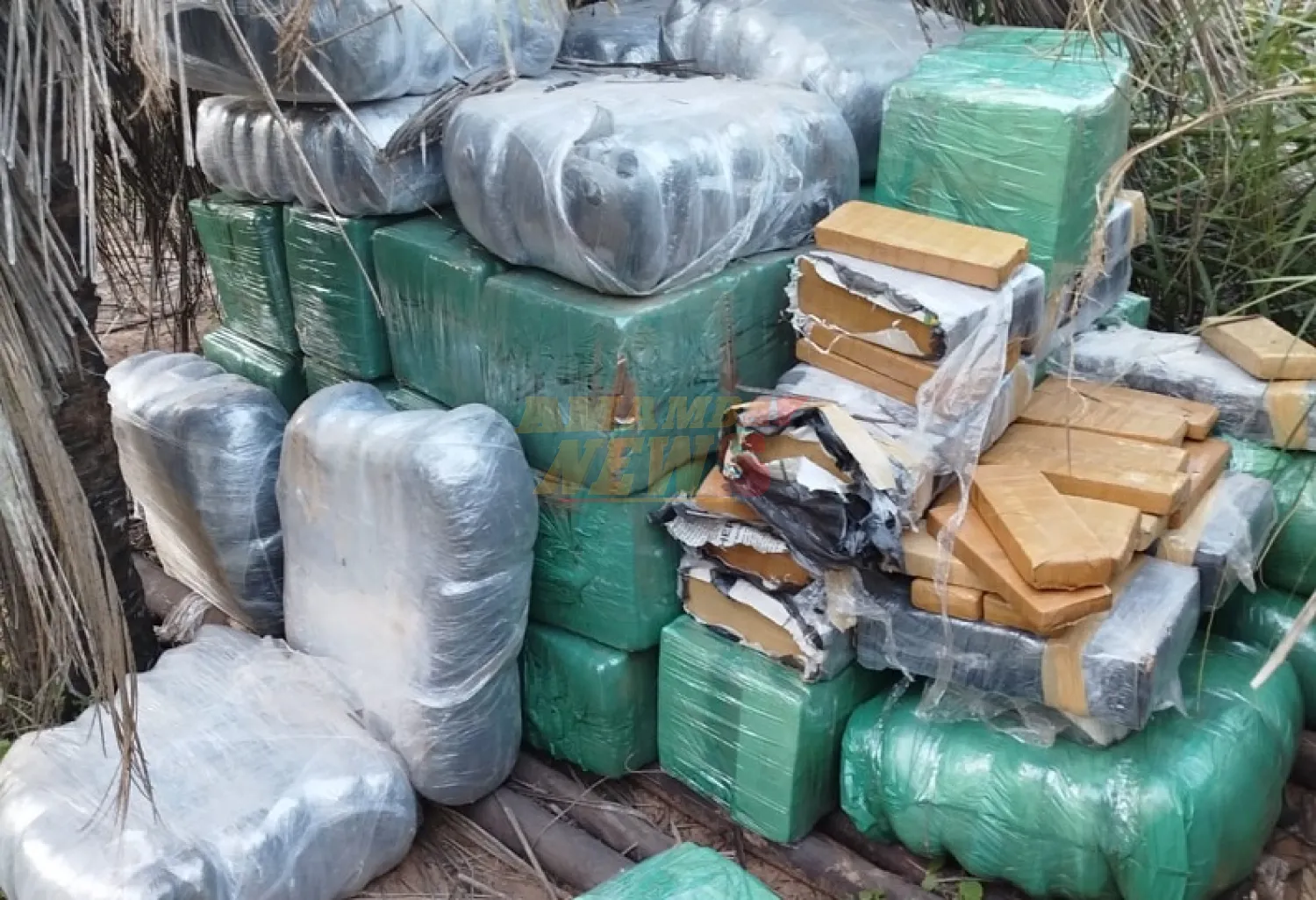 Operación Escudo Guaraní: Incautaron más de 1.100 kg de marihuana en Ñeembucú