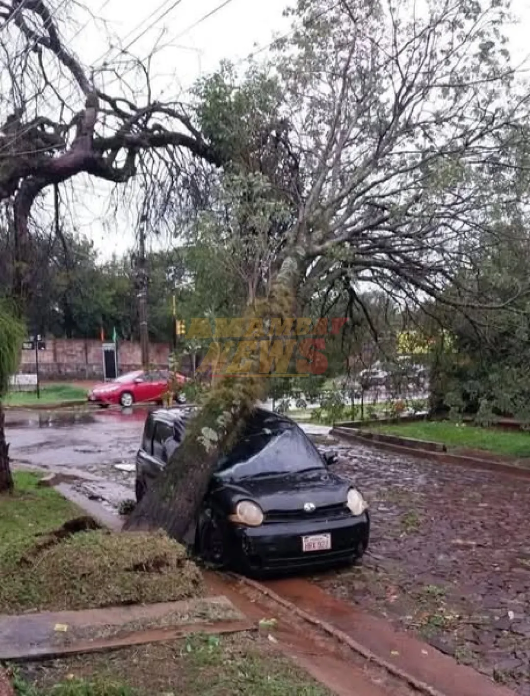 Fuerte temporal golpea a Itapúa dejando cuantiosos daños
