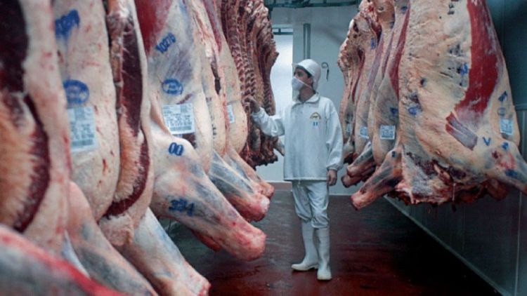 Hablan de aumento en faena y exportación de carne