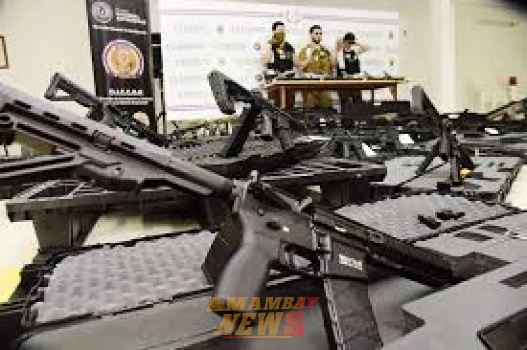 Dakovo: Extradición al Brasil de presuntos traficantes de armas es confirmada por la Cámara
