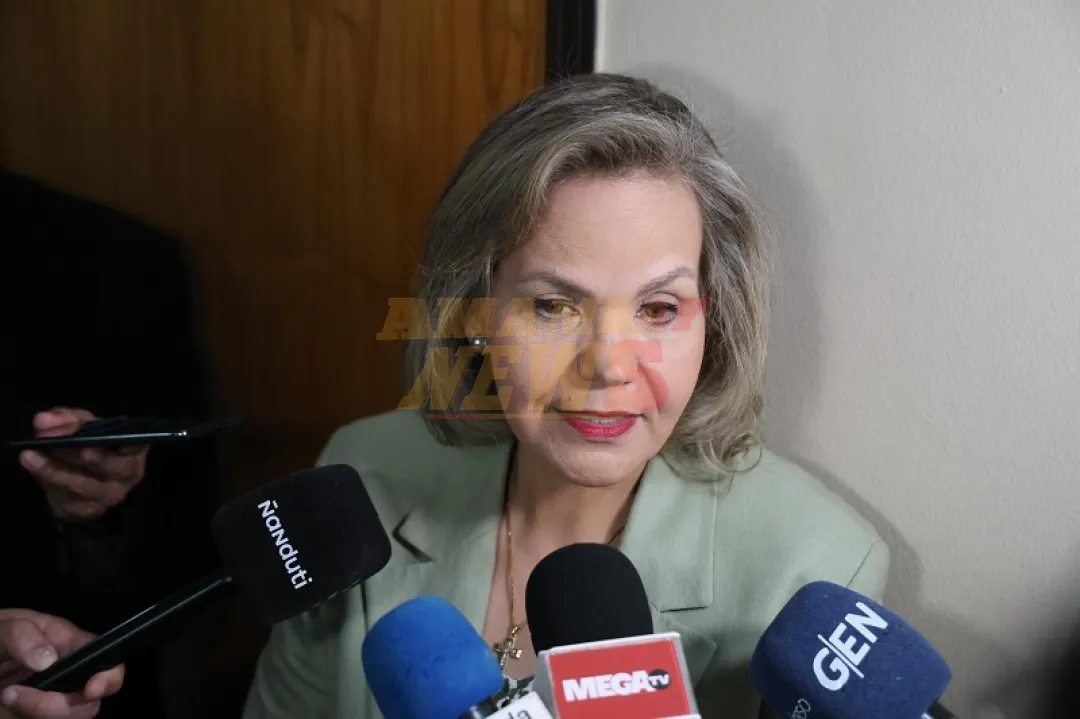 Reforma del transporte: Lilian afirma que proyecto del Ejecutivo es más un «plan de negocios»