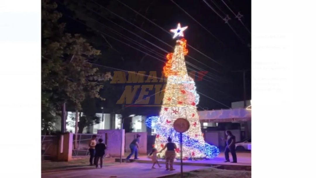 CDE: Rechazan en Asunción la donación de un árbol navideño de la municipalidad