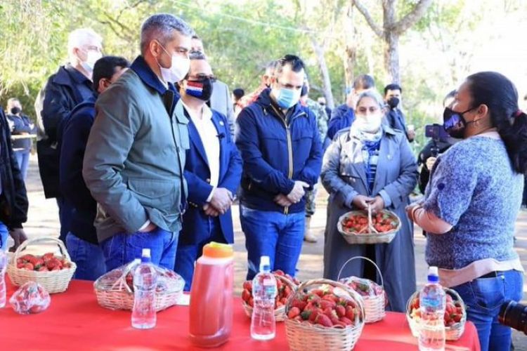Expo Frutilla se realizaría bajo estrictas medidas sanitarias